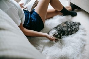 Childless Cat Lady: Society’s Obsession