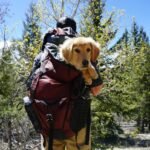 Man with a dog in a pet backpack carrier. This is a featured image for "The Ultimate Guide to Childfree Pet-Friendly Vacations.